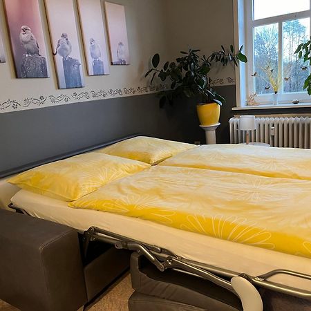 Der Falkenhorst Bad Sachsa Dış mekan fotoğraf